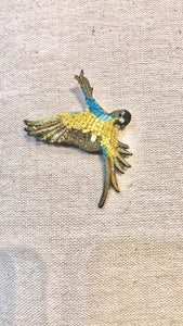 Parrot PIN